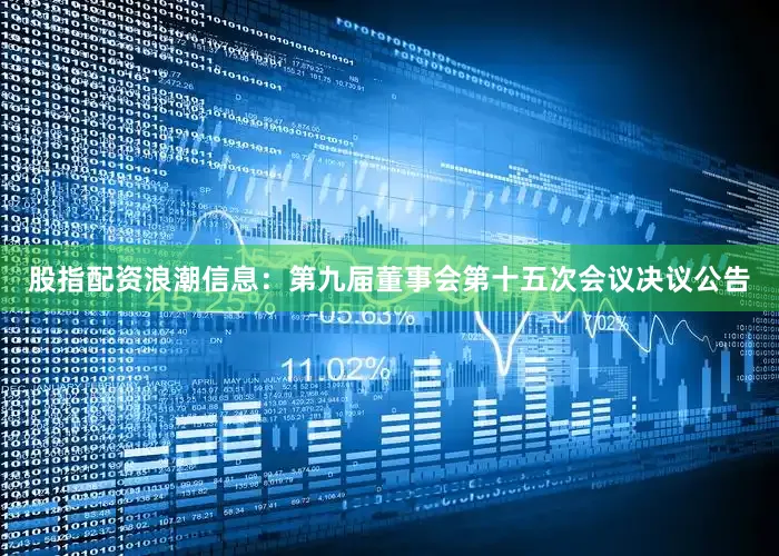 股指配资浪潮信息：第九届董事会第十五次会议决议公告