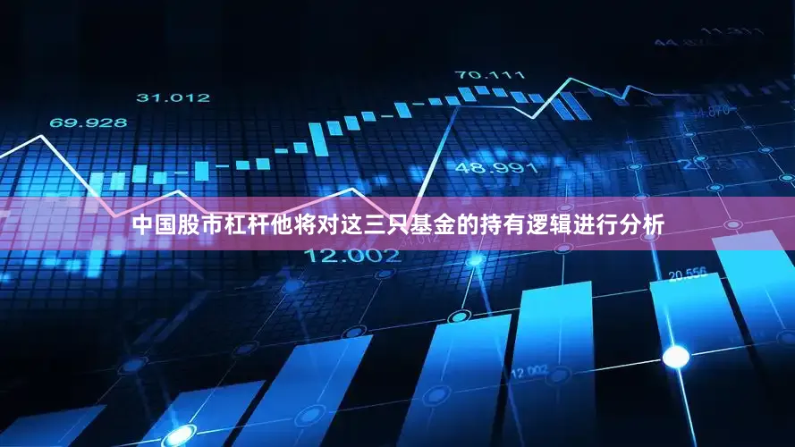 中国股市杠杆他将对这三只基金的持有逻辑进行分析